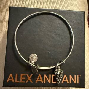 ⭐️ Alex and Ani: Silver Grape Charm Bangle